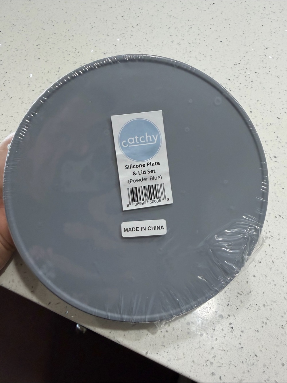 Catchy silicone plate & lid set with placemat